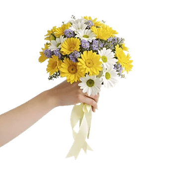 Delicate Petal Cascade