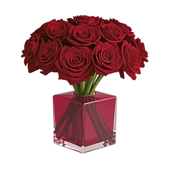 Crimson Rose Elegance