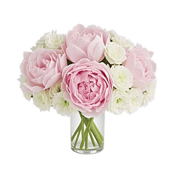 Petal Radiance Bliss