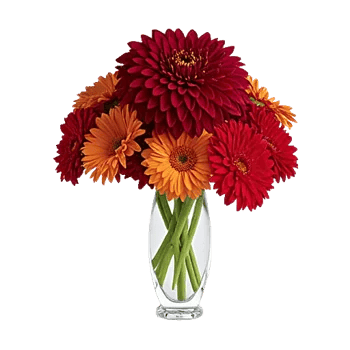 Crimson Blossom Harmony