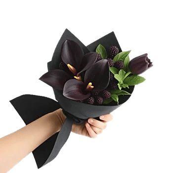 Elegant Calla Lilies