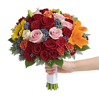 Blushing Rose Symphony