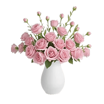Pink Pastel Roses