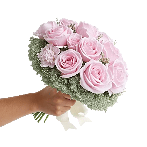 Pastel Pink Roses