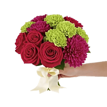 Crimson Rose Elegance