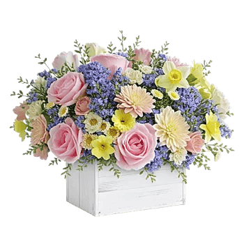Blooming Serenity Display