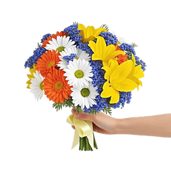 Petal Harmony Bliss