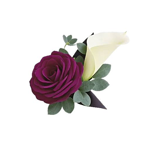 Elegant Calla Lilies