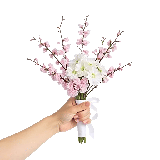 Blossom Breeze Harmony