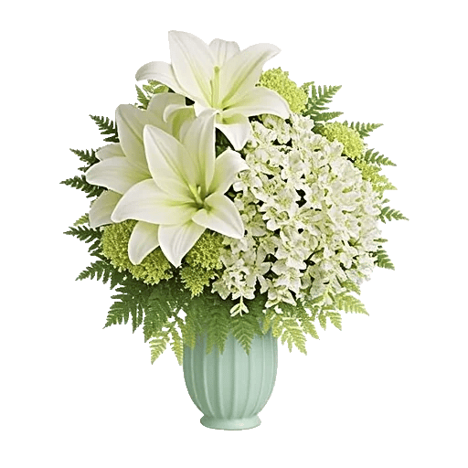 Ivory Blossom Radiance