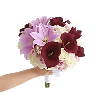 Elegant Calla Lilies