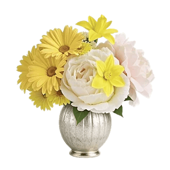 Ivory Blossom Radiance