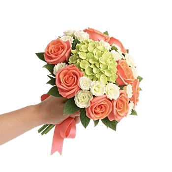 Ivory Blossom Radiance