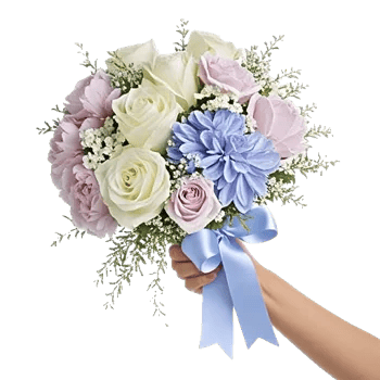 Serene Petal Harmony