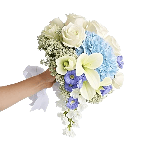 Delicate Petal Cascade