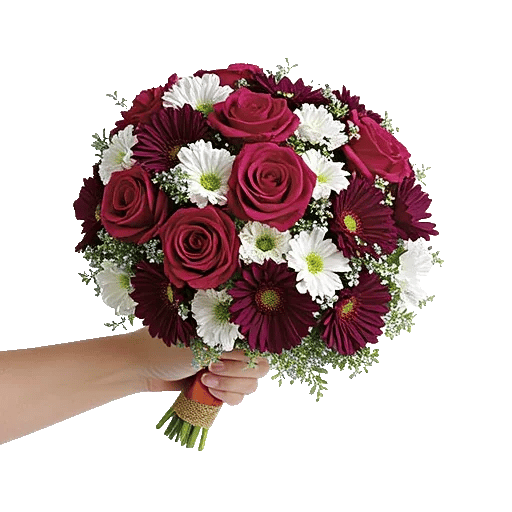 Blushing Rose Symphony