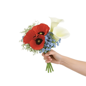 Elegant Calla Lilies