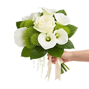 Ivory Garden Grace