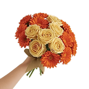 Petal Harmony Bliss