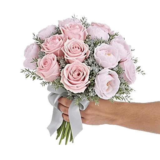 Pastel Pink Roses