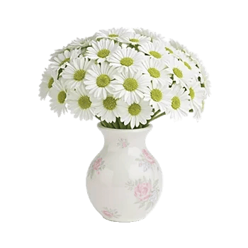 Ivory Blossom Radiance