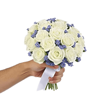 Delicate Petal Cascade