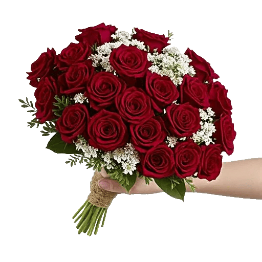 Crimson Rose Elegance