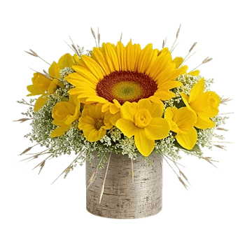 Amber Sunflower Glow
