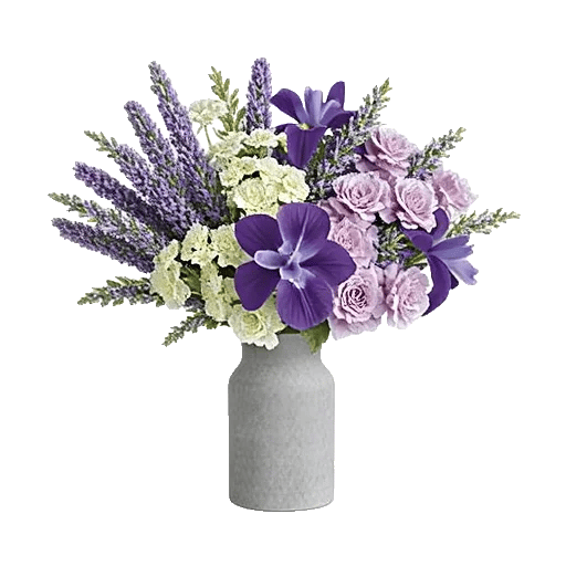 Lavender Bloom Grace