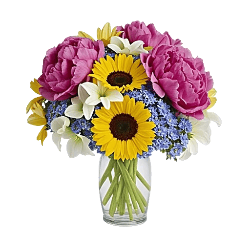 Petal Radiance Bliss