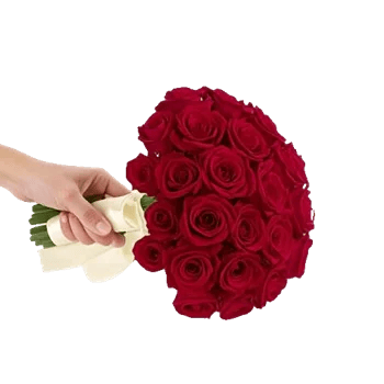 Crimson Rose Elegance