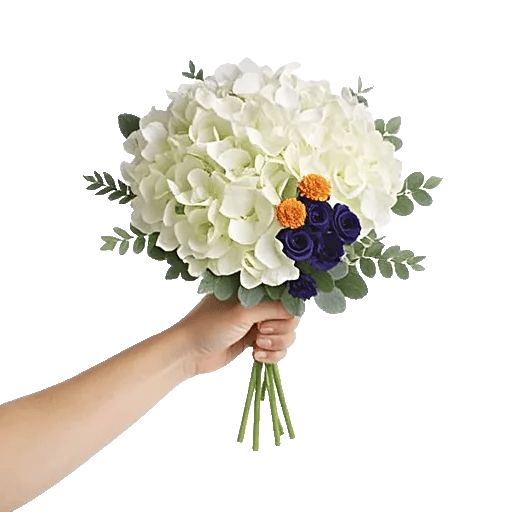 Ivory Blossom Radiance