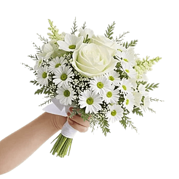 Ivory Garden Grace