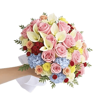 Blushing Rose Symphony