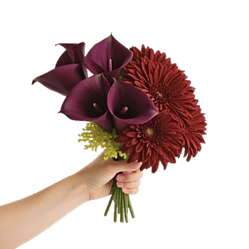 Elegant Calla Lilies