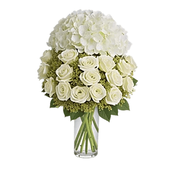 Ivory Blossom Radiance