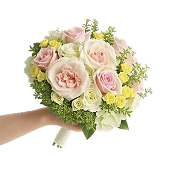 Delicate Petal Cascade