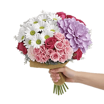 Petal Harmony Bliss