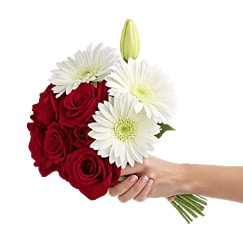 Crimson Rose Elegance