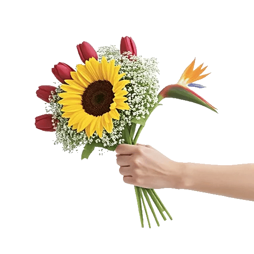 Tropical Sunflower Burst