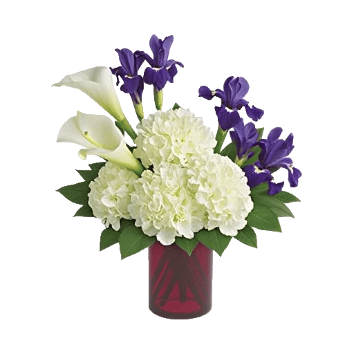 Elegant Calla Lilies