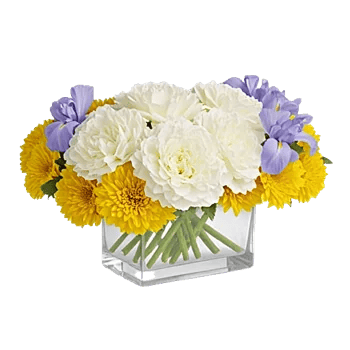 Ivory Blossom Radiance