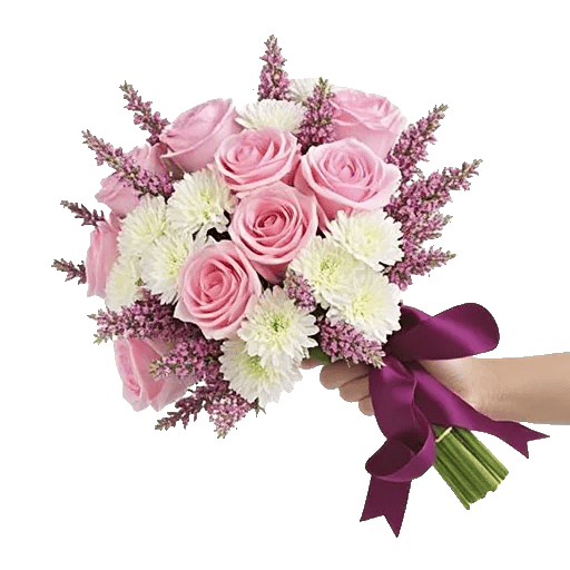 Pastel Pink Roses
