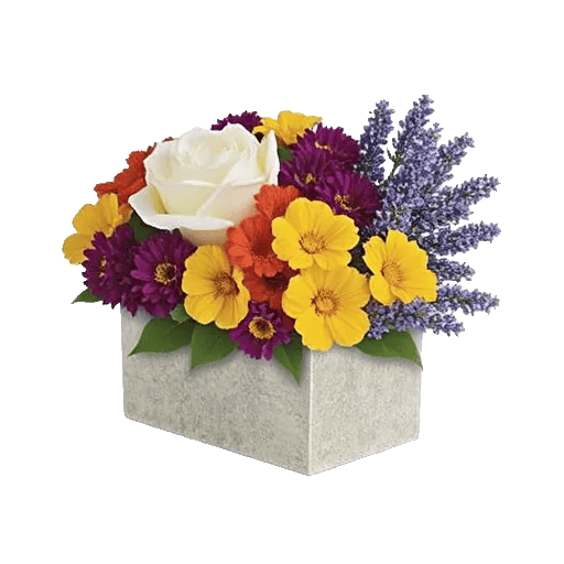 Delicate Petal Cascade