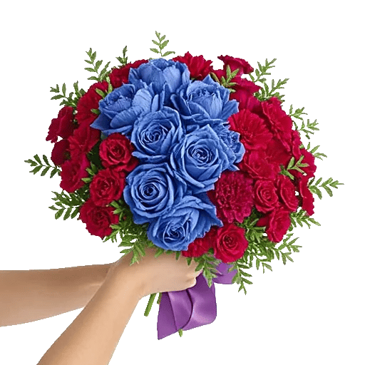 Sapphire Bloom Whisper