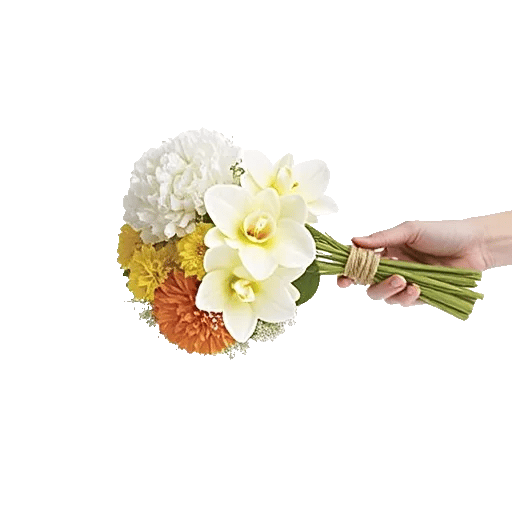 Minimalist White Orchids