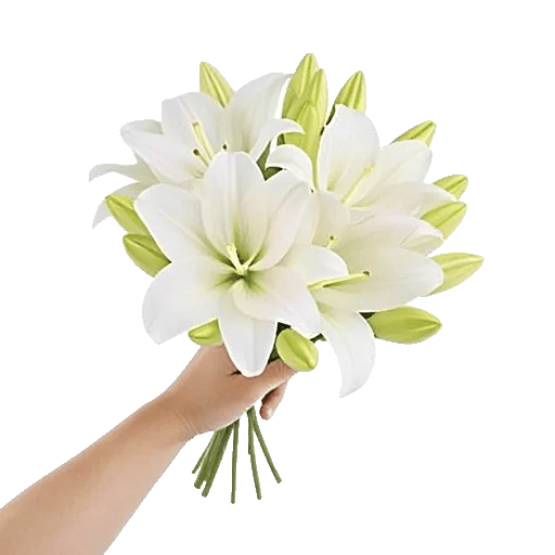 Graceful Lily Display