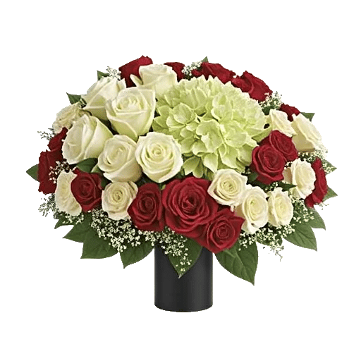 Ivory Blossom Radiance