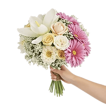 Modern White Orchids