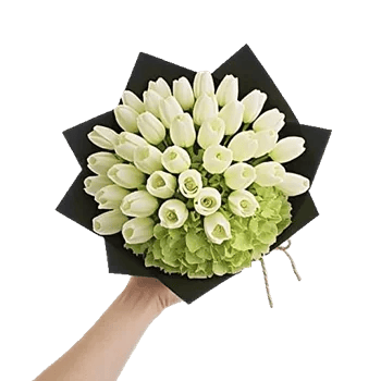 Ivory Garden Grace